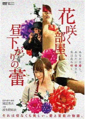 逆光飞行电影海报